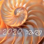 נובמבר 2020 (5)